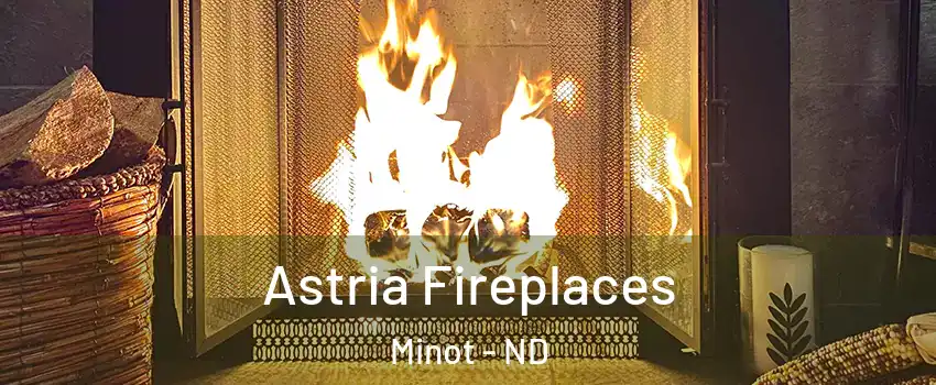 Astria Fireplaces Minot - ND