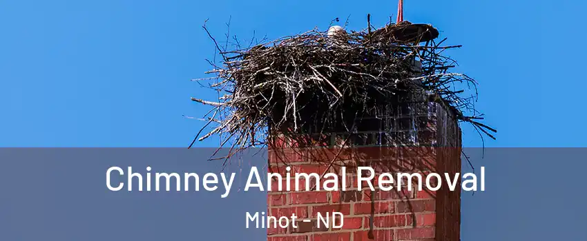 Chimney Animal Removal Minot - ND