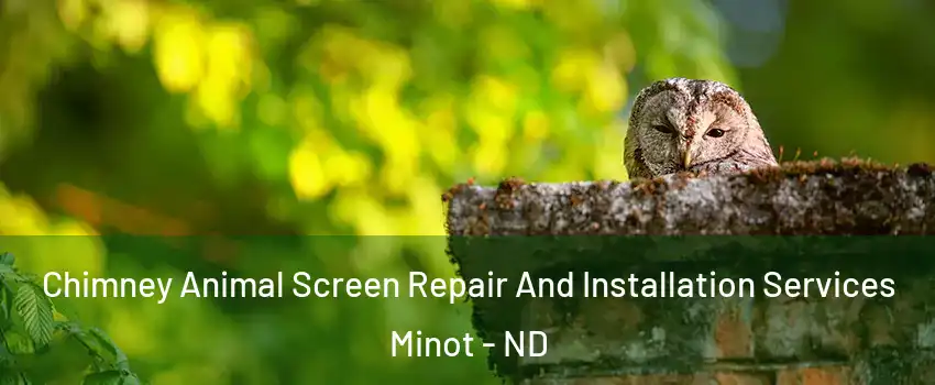  Chimney Animal Screen Repair And Installation Services Minot - ND