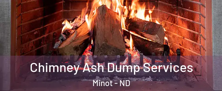  Chimney Ash Dump Services Minot - ND