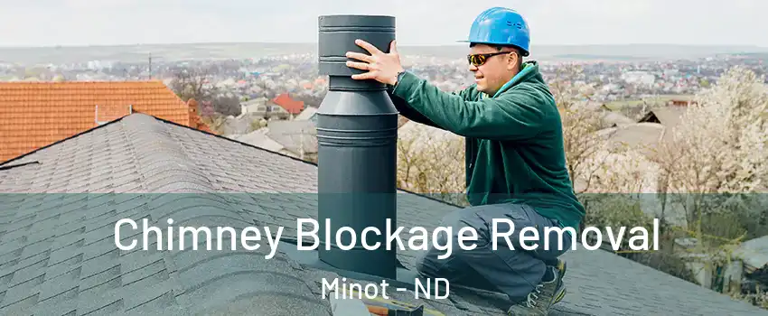 Chimney Blockage Removal Minot - ND
