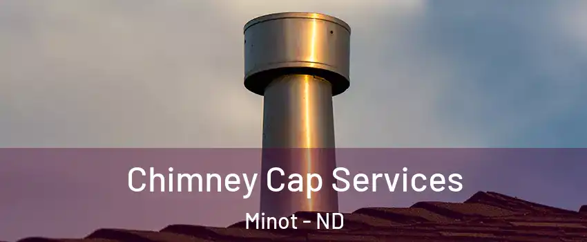  Chimney Cap Services Minot - ND