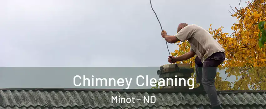  Chimney Cleaning Minot - ND