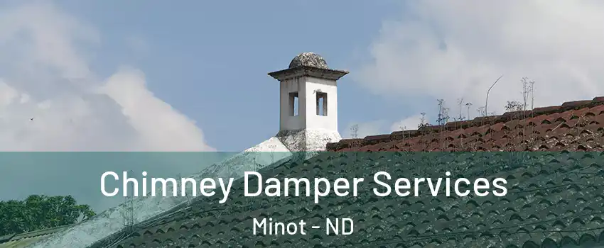  Chimney Damper Services Minot - ND