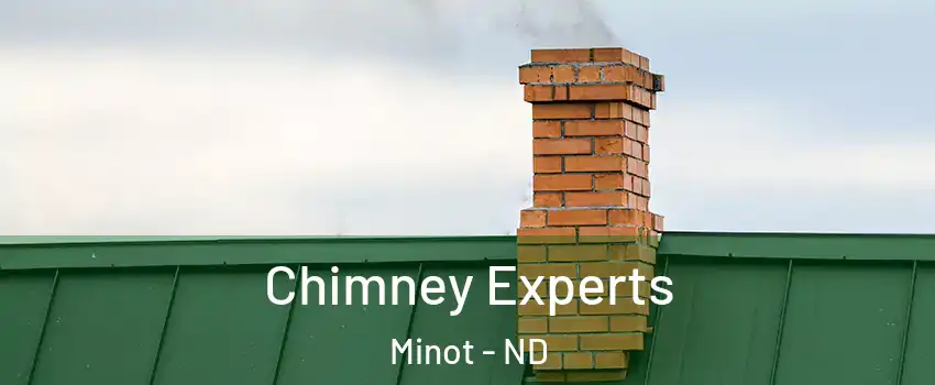 Chimney Experts Minot - ND