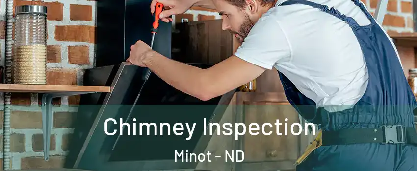  Chimney Inspection Minot - ND