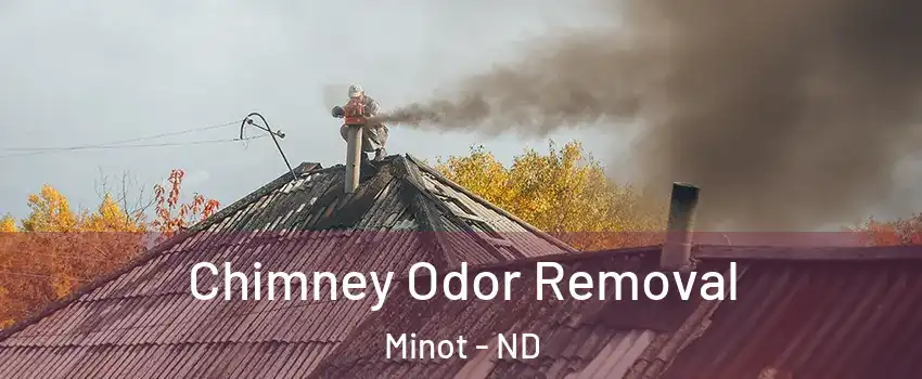  Chimney Odor Removal Minot - ND
