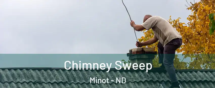  Chimney Sweep Minot - ND
