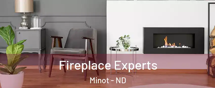  Fireplace Experts Minot - ND