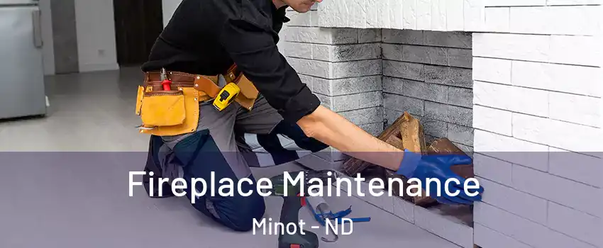  Fireplace Maintenance Minot - ND