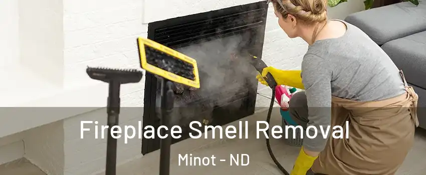  Fireplace Smell Removal Minot - ND