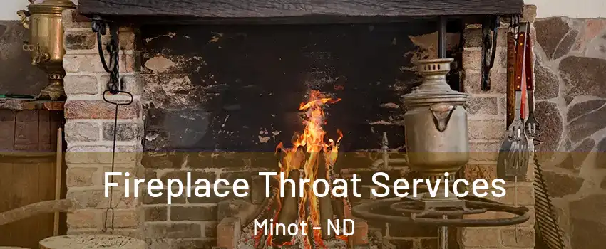  Fireplace Throat Services Minot - ND