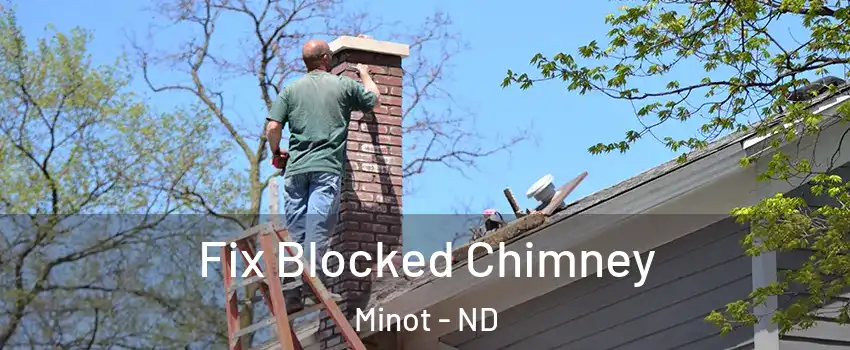  Fix Blocked Chimney Minot - ND