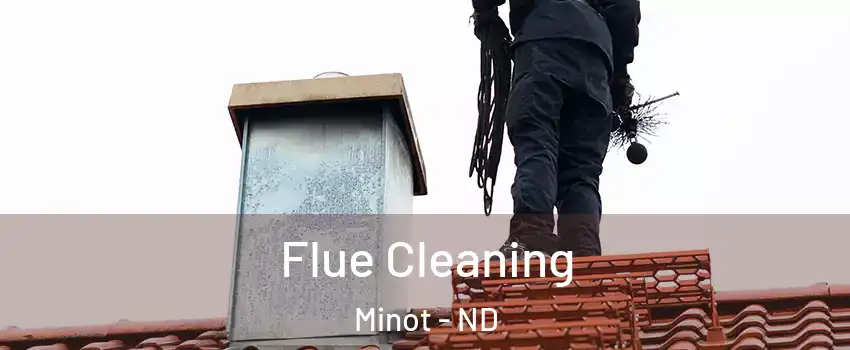  Flue Cleaning Minot - ND