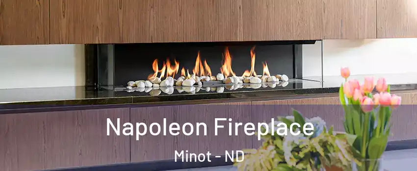 Napoleon Fireplace Minot - ND