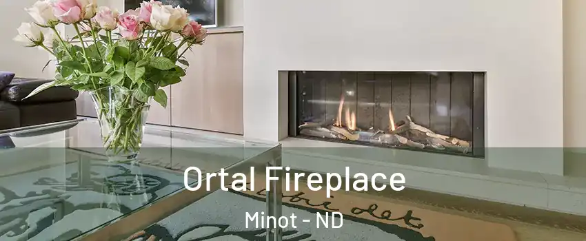  Ortal Fireplace Minot - ND