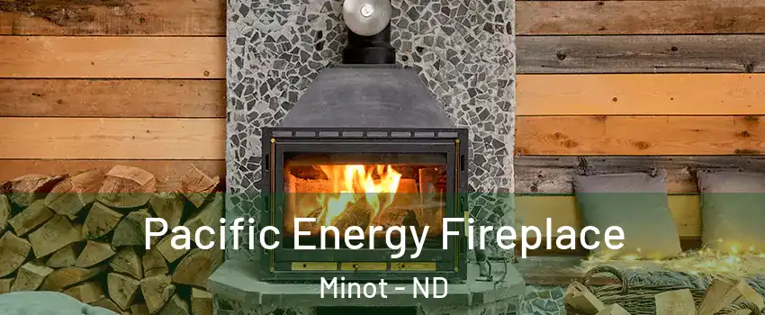  Pacific Energy Fireplace Minot - ND