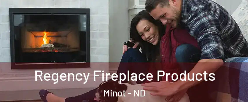  Regency Fireplace Products Minot - ND